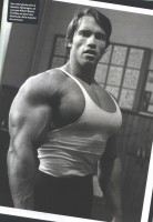 /album/sergiobreton96/men-arnold-schwarzenegger-training-2665x3851-wallpaper-wallpaperbeautiful-14-jpg/